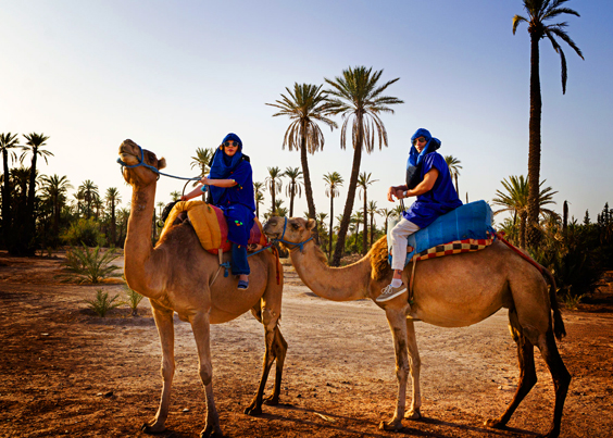 Attractions In Morocco