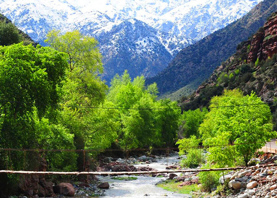 Excursions In Morocco