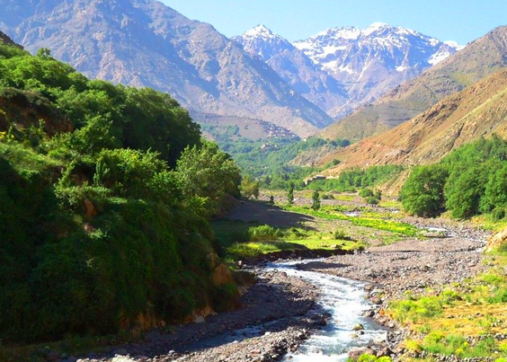 Excursions In Morocco