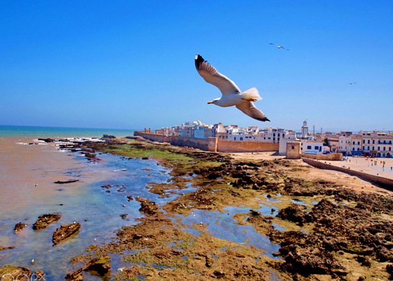 Photography And Design In Morocco