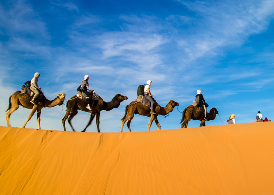 Small Group Tours In Morocco